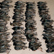 Illustration for article titled 100+ Starlings Fall Dead Out Of The Sky And Into British Womans Yard
